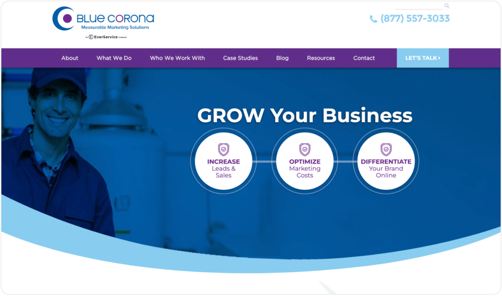 Blue Corona's website's screenshot